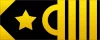 Chief Operating Officer